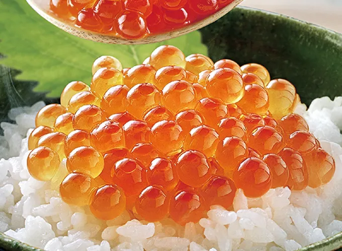 いくら醬油漬